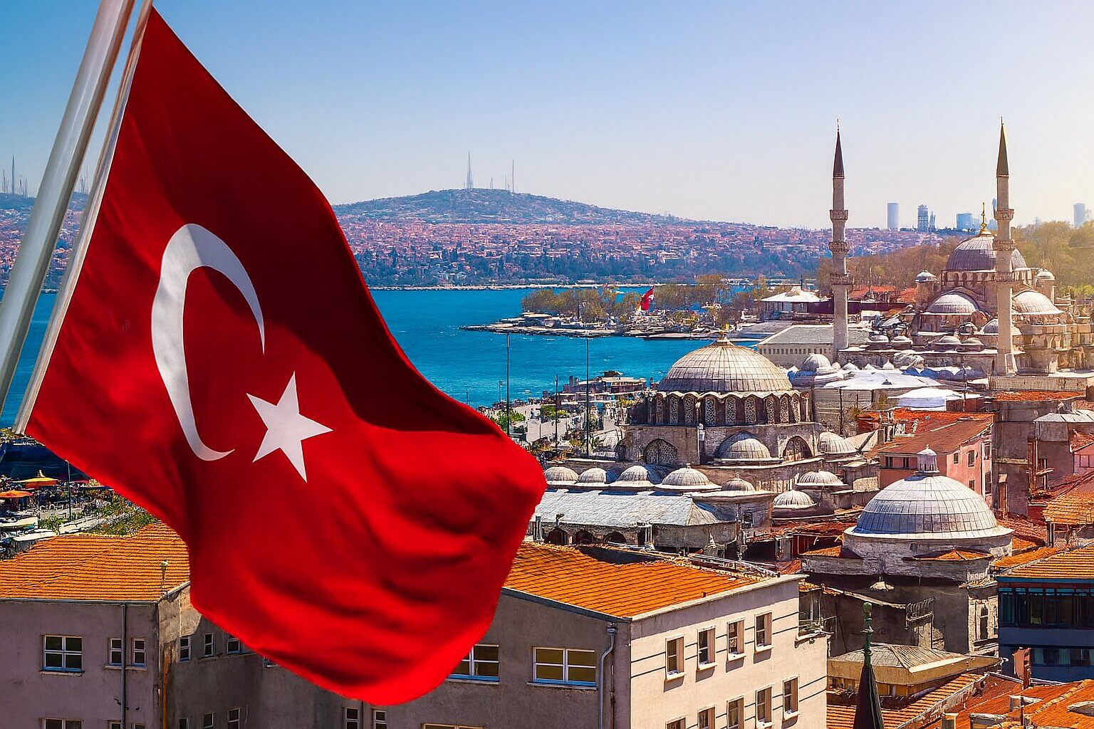 Международные перевозки изображение 1